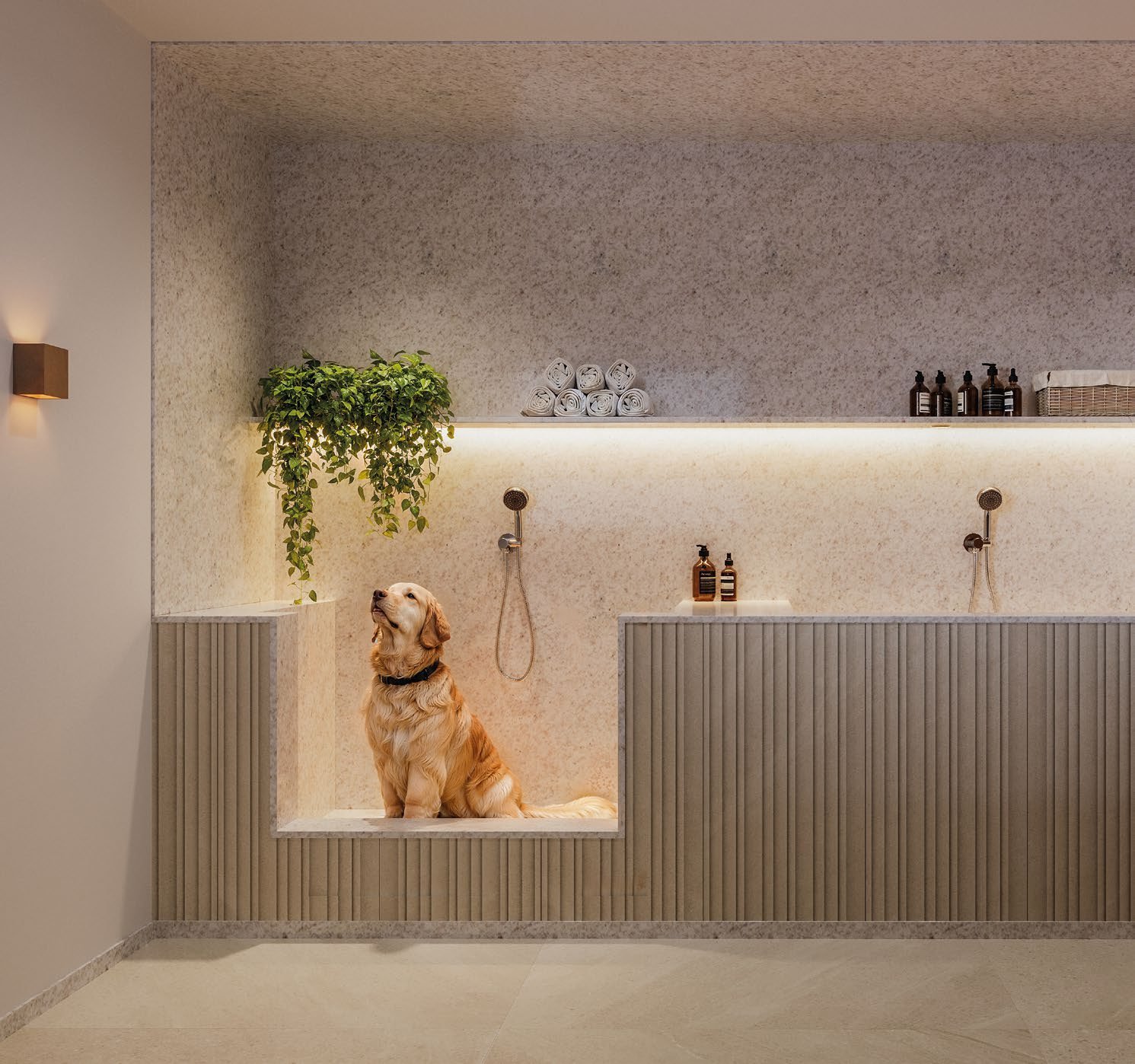 Casa Ilzze — foto 9