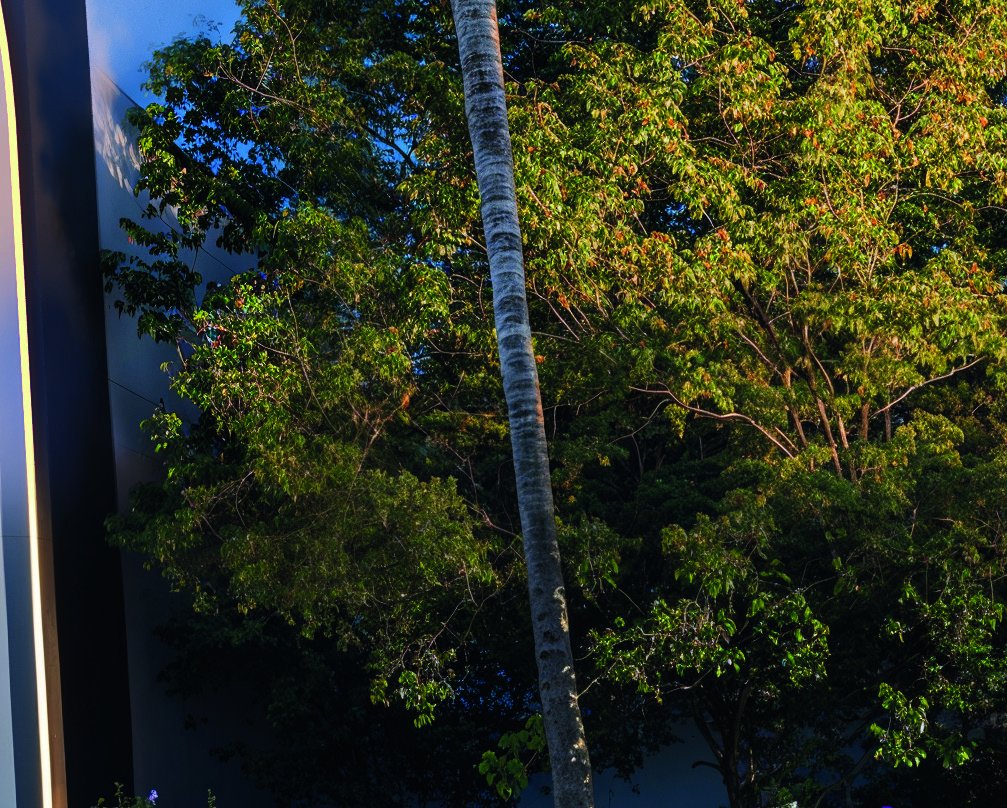 Oslo Home Stay — foto 1