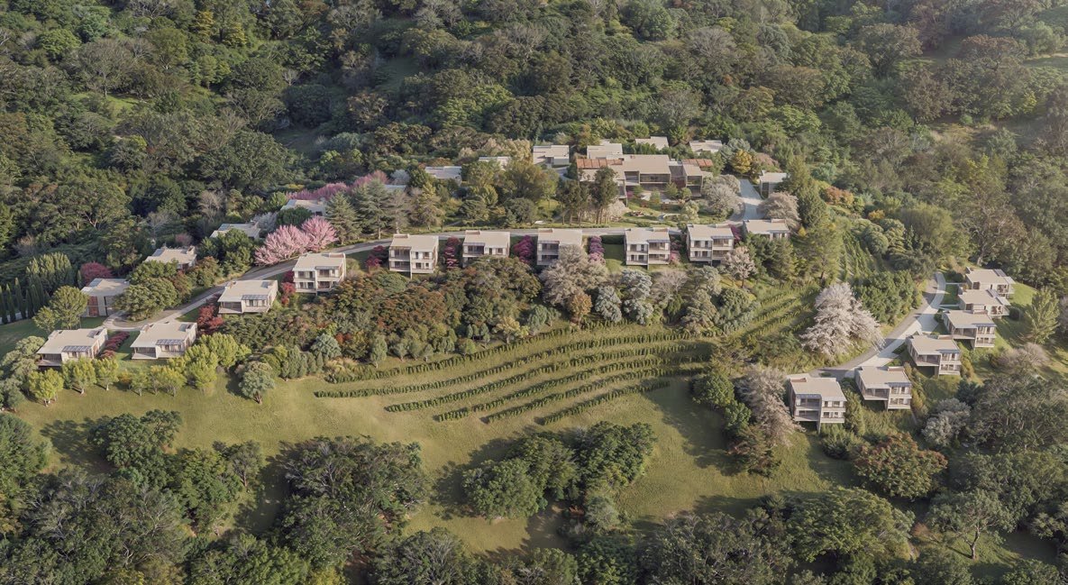 Vive Le Vin — foto 6