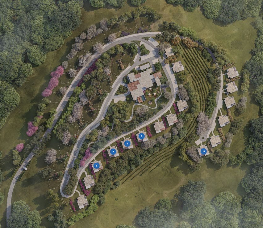 Vive Le Vin — foto 12